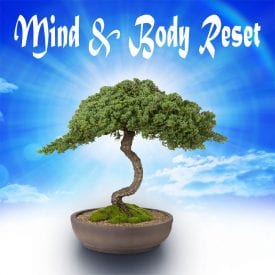 Mind Body Reset MP3